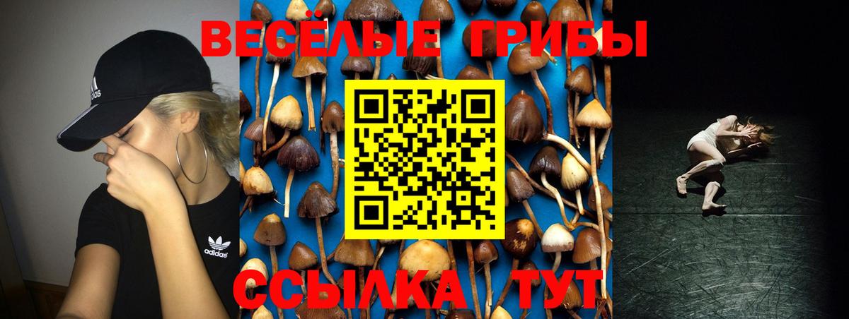 Псилоцибиновые грибы GOLDEN TEACHER Конаково