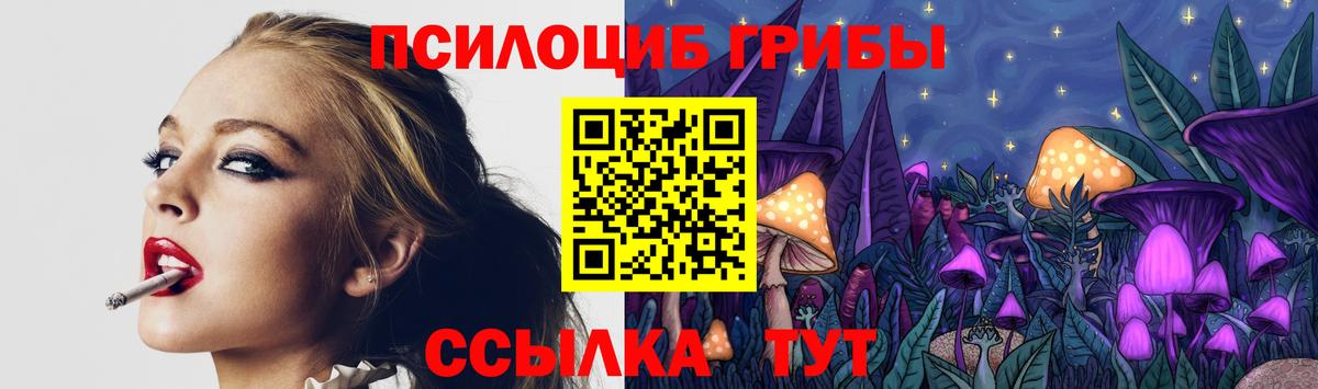 Галлюциногенные грибы Psilocybine cubensis  Вход с VPN  Конаково 